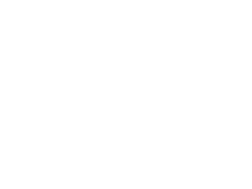 tripadvisor certificate of excellence badge 2018 white